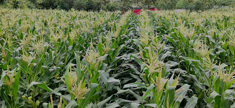 7295ac809656a169e4ad345682ac3b4a.png 7295ac809656a169e4ad345682ac3b4a.png