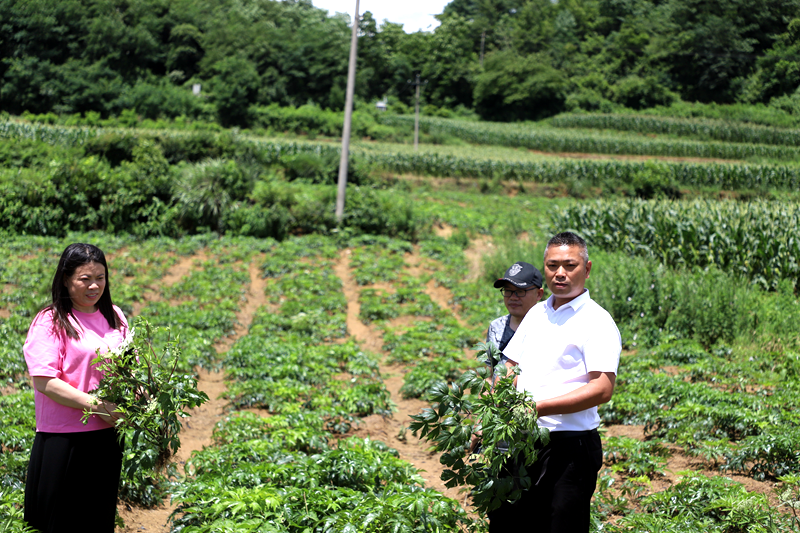 bc6c967d6bf559817f53aed86c84da35.png bc6c967d6bf559817f53aed86c84da35.png