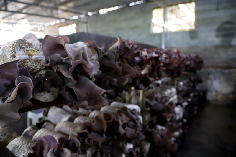 18dbcae37990887c042338dc398841a1.png 18dbcae37990887c042338dc398841a1.png