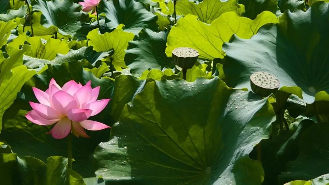 bbb4c6e774b3ace3f794cb125fed1dcd.jpg bbb4c6e774b3ace3f794cb125fed1dcd.jpg