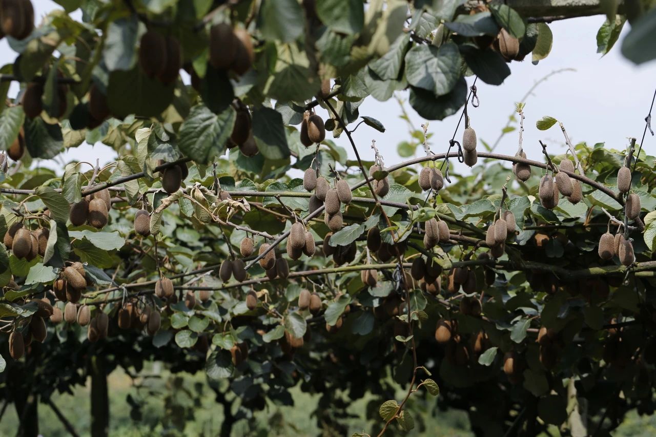 b34dcfb5111775dd9241cd1c60de0124.jpg b34dcfb5111775dd9241cd1c60de0124.jpg